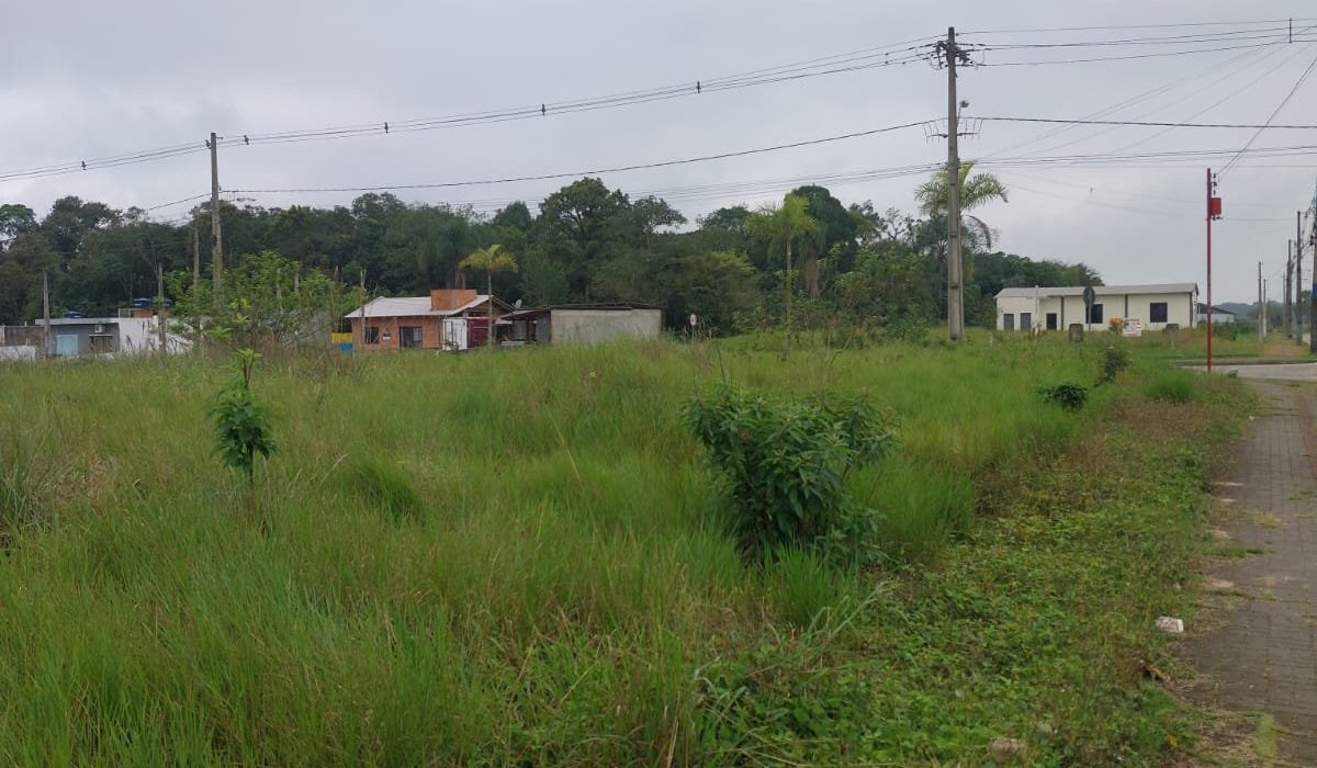 TC 131V ARAQUARI-SC 03 TERRENOS R 180.000,00 e R 190.000,00 - foto 6