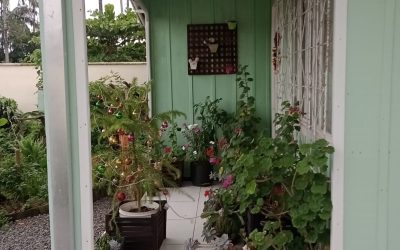 TC 228V JARDIM PARAÍSO R 290.000,00 - foto 17